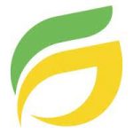 Gaslampinsurance.com